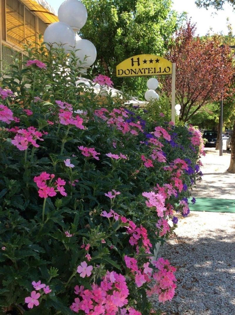 Hotel Donatello Cesenatico Εξωτερικό φωτογραφία